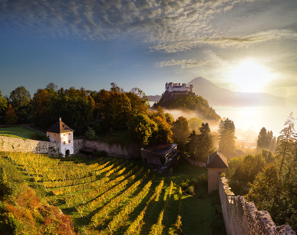 <strong>Wettbewerbsthema 2023: Genussreise Österreich – Grosse Kunst. Ohne Allüren. </strong>